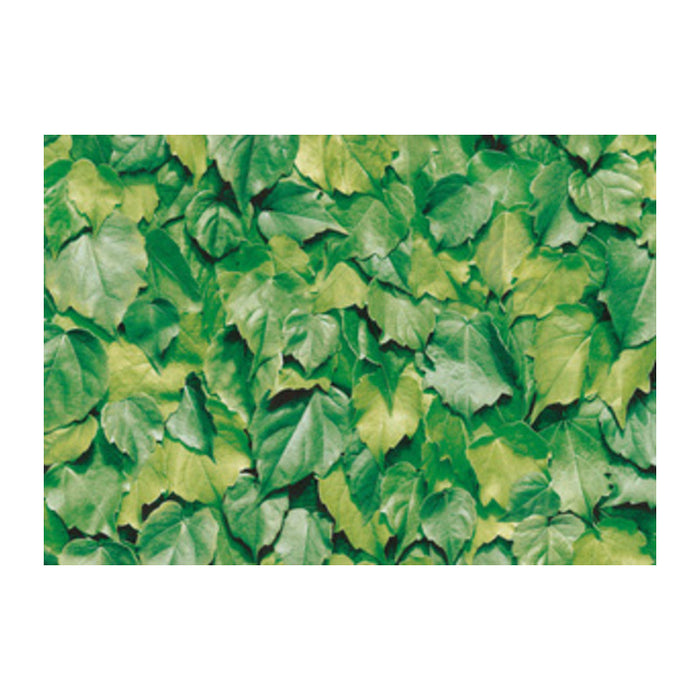 Plastica adesiva alkor 280.3170 foglie verdi 15 m