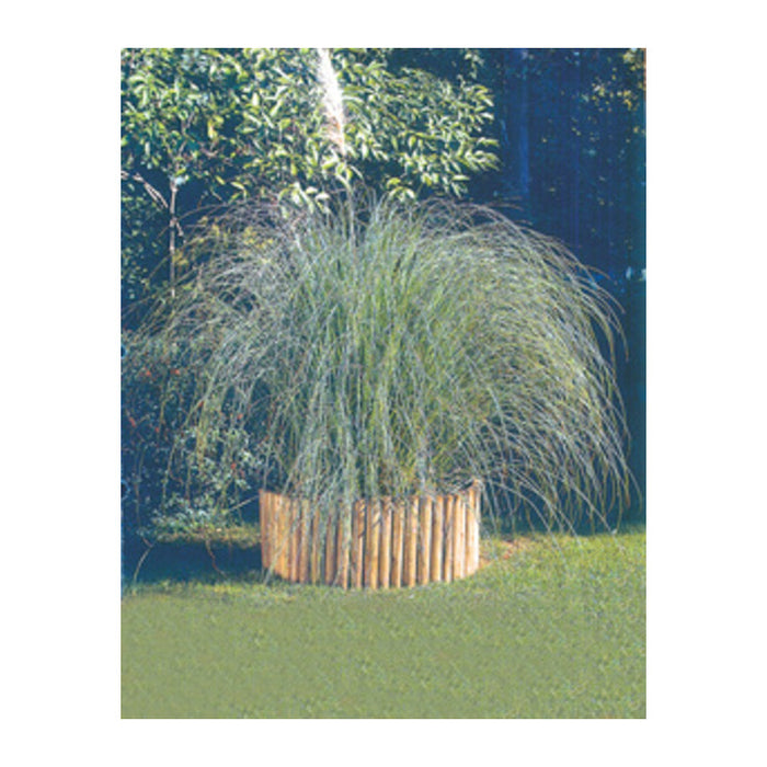 Bordura in pino impregnato rotolo 200xh30 cm