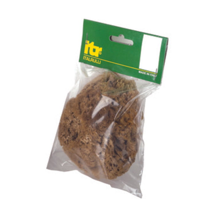 Spugna marina naturale 14 cm per pitture sm