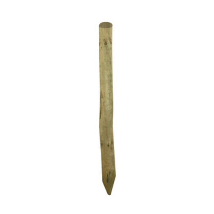 Palo punta in pino impregnato d 10xh200 cm