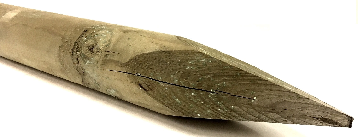 IMPREGNATED POLES DIAM. 08 LENGTH. CM.250 TIP