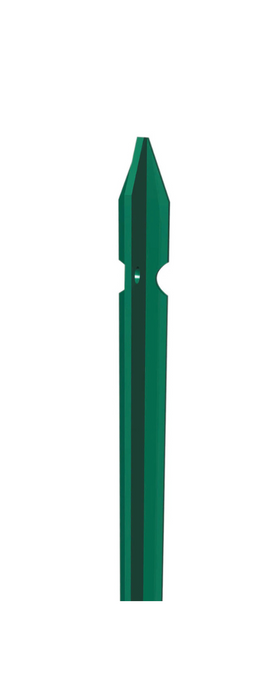 Paletto plastificato 250 cm t 35x3,0 3,95 kg