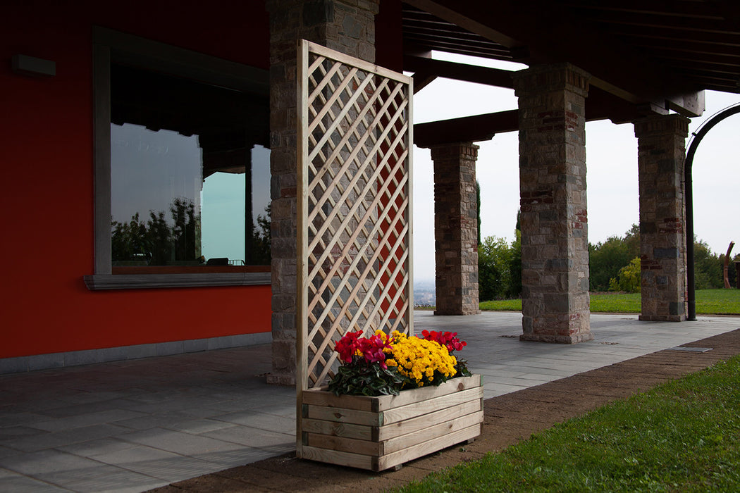 ORCHID COMPOSITION CM. 120