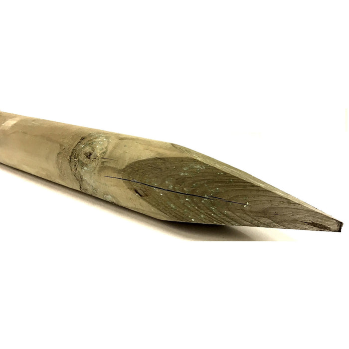 IMPREGNATED POLES DIAM. 12 LENGTH. CM.300 TIP