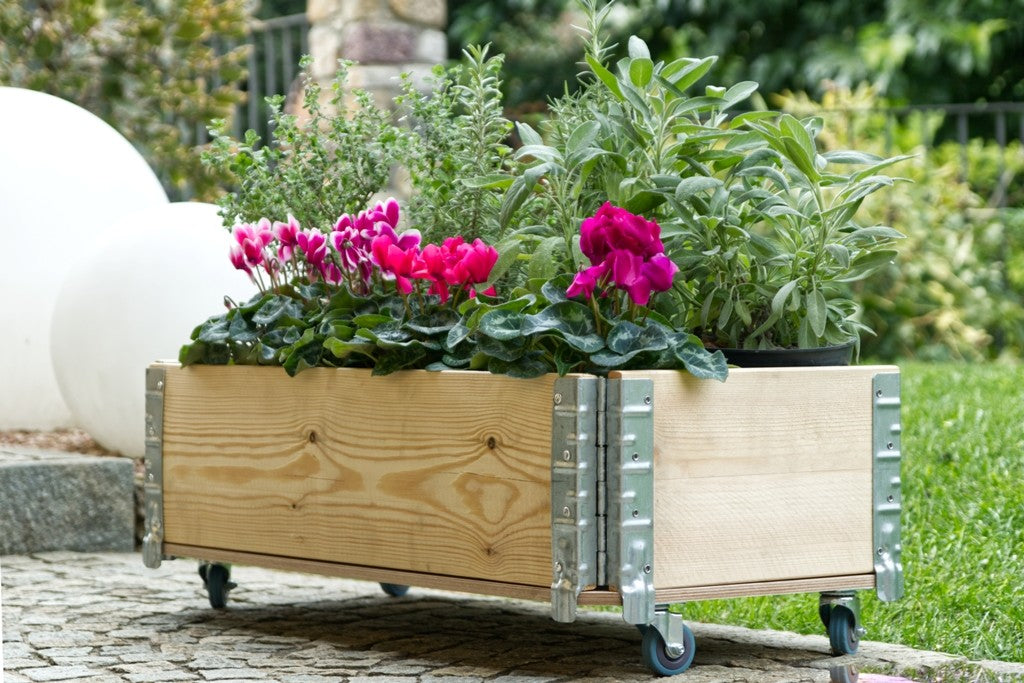 PRIMULA PLANTER CM 40X80X28 H